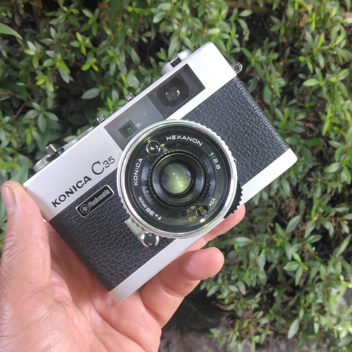 KONICA C35 flashmatic ／ HEXANON38mm F2.8 ながら川ふれあいの森 