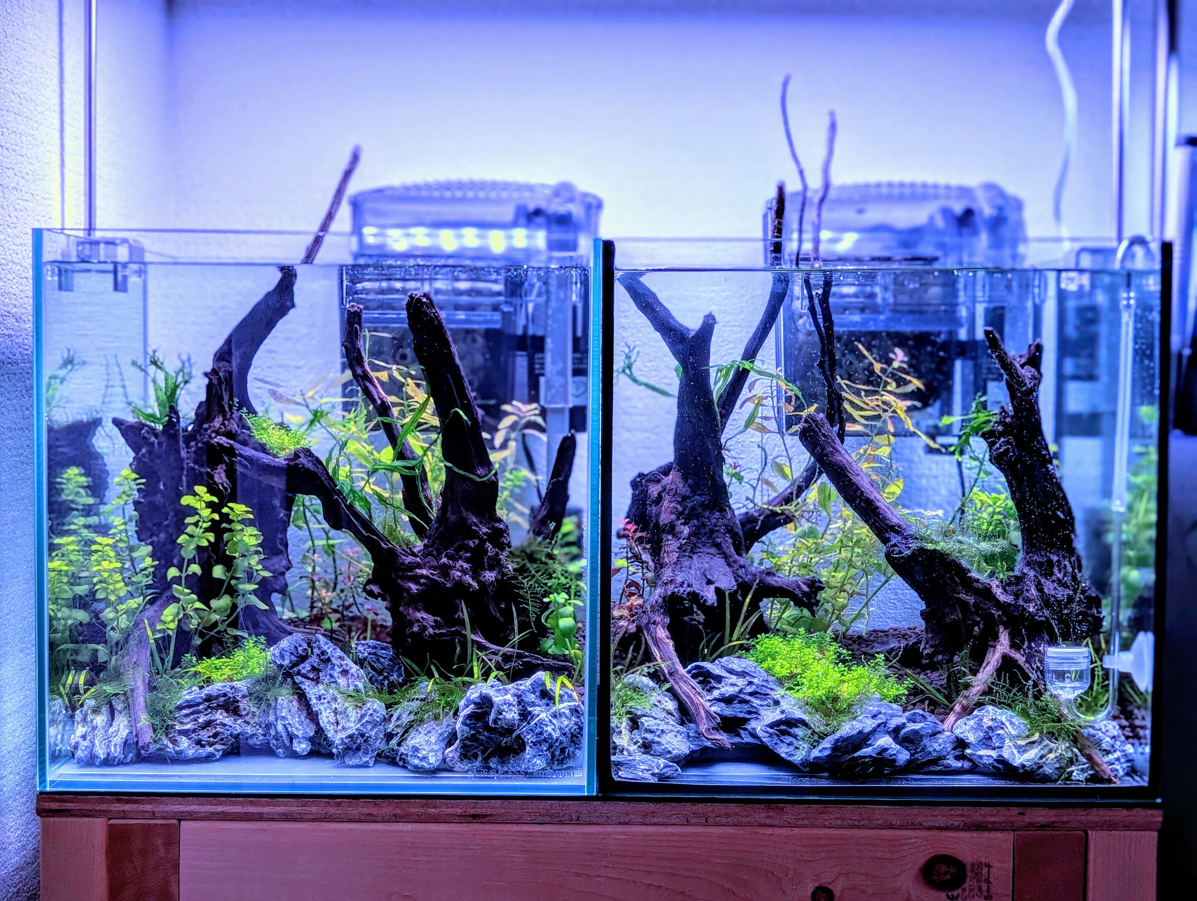 光足りてる？！光を知ればライト選びも変わる！｜ネイチャー