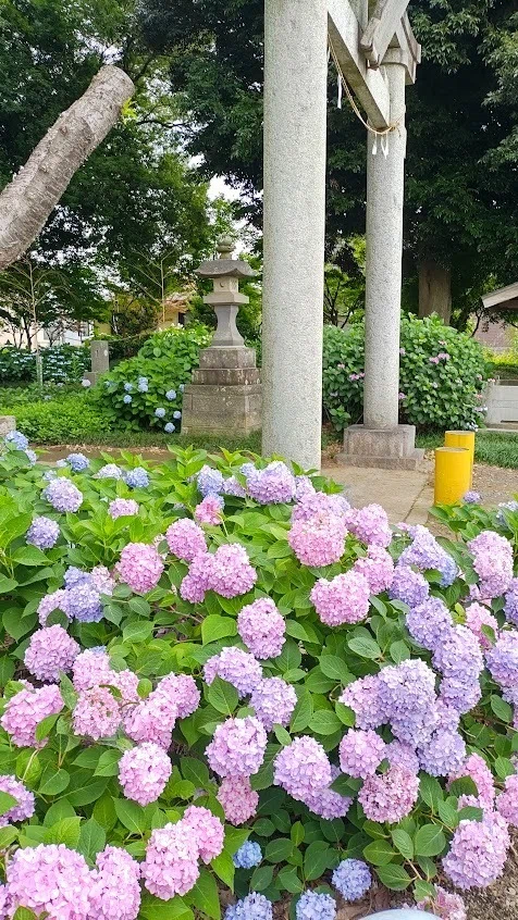 画像