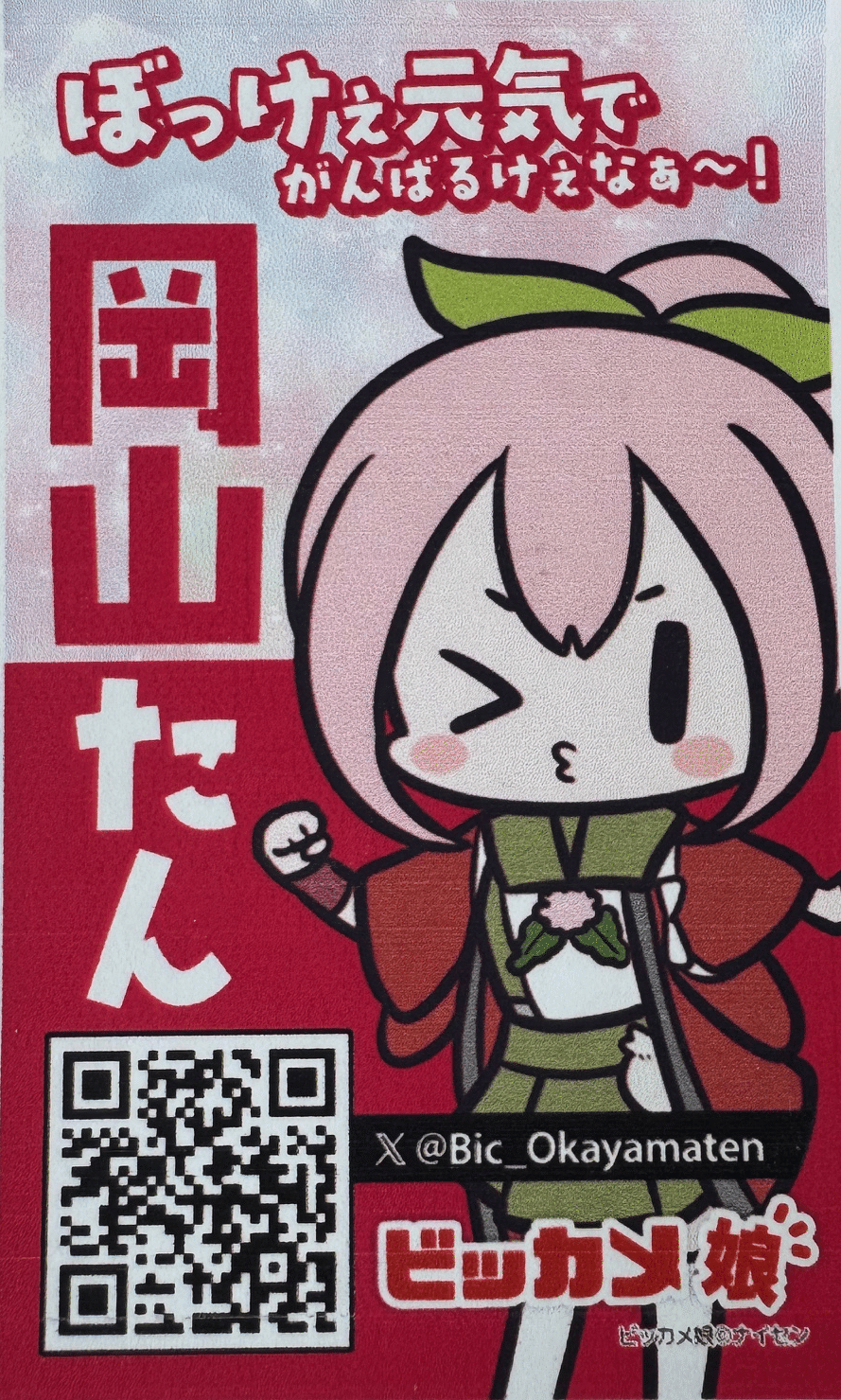ビックカメ娘総選挙（2025年6月10日）｜YANO Tomoaki@