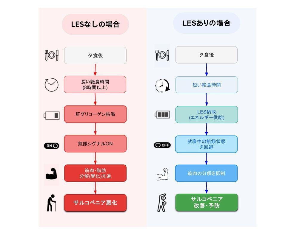 肝・胆・膵・腎の疾患 : 疾患・病態別栄養管理の実際 14828-01_1200x1200.jpg?v=