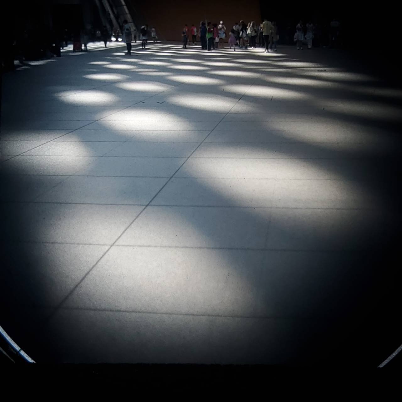 ライカMマウントのウエストレベルファインダーの紹介｜Yoshimin