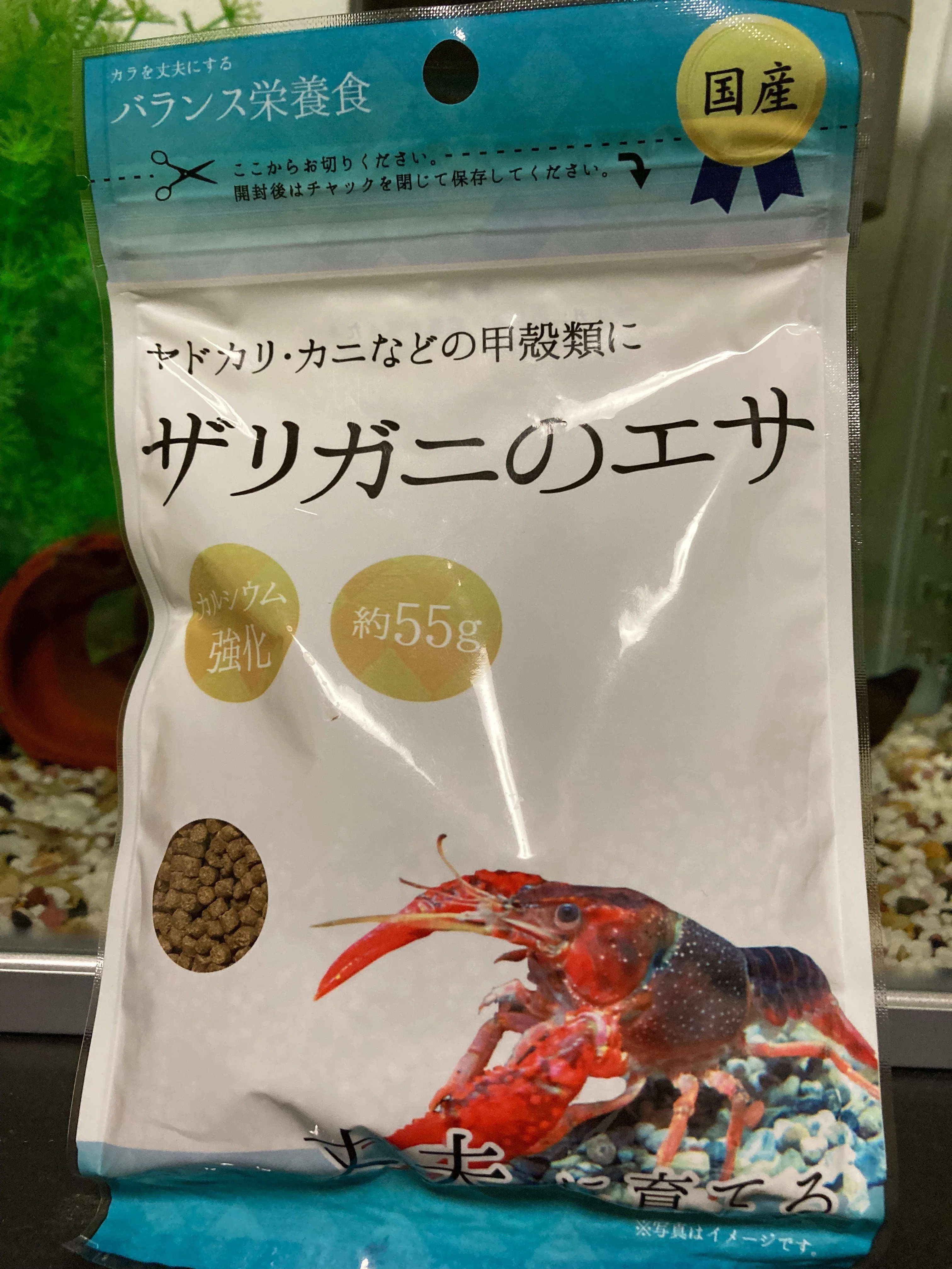 How to Keep Crayfish｜ザリガニさん