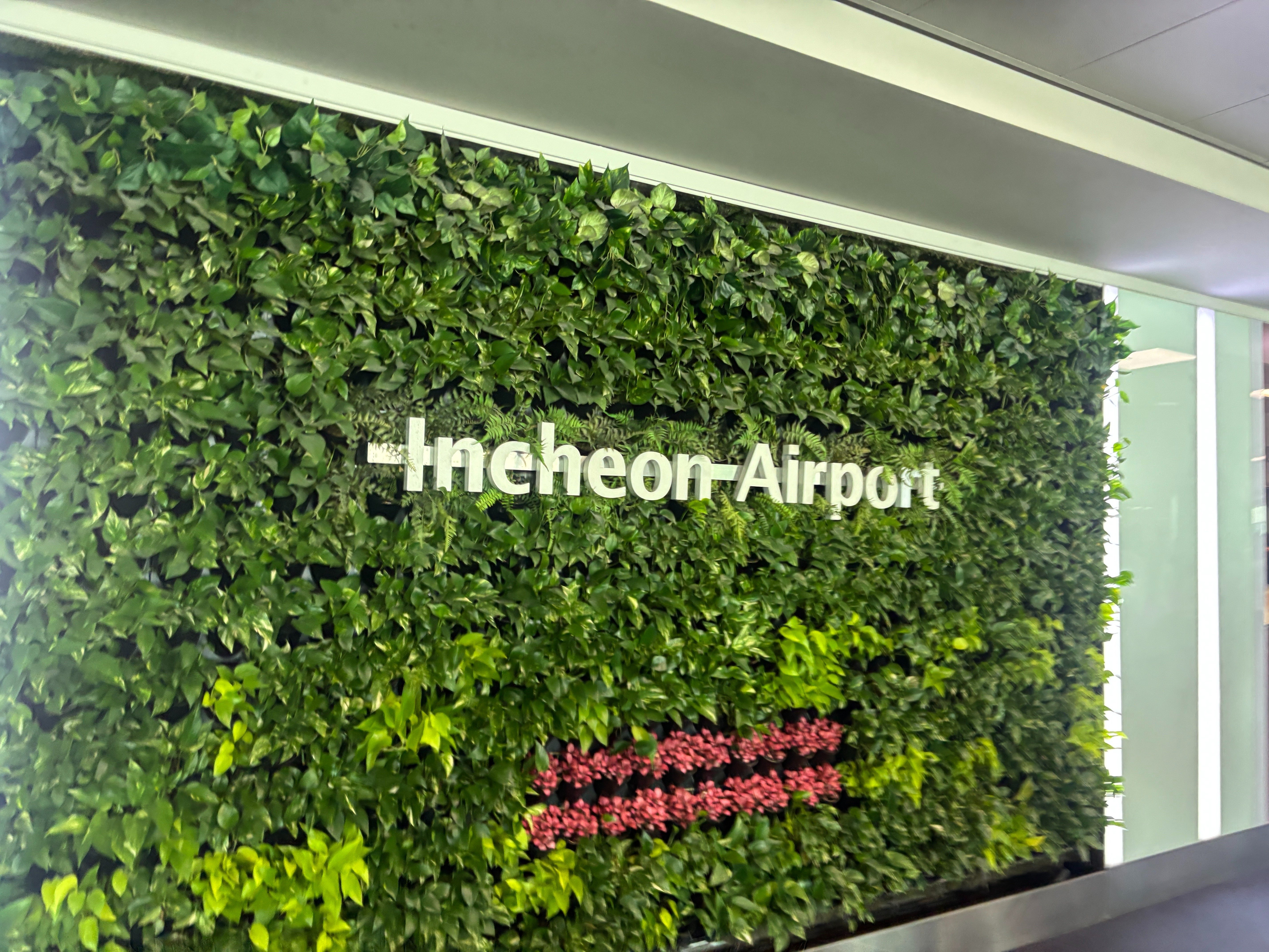 日記】韓国行ったぞ！｜しゅが