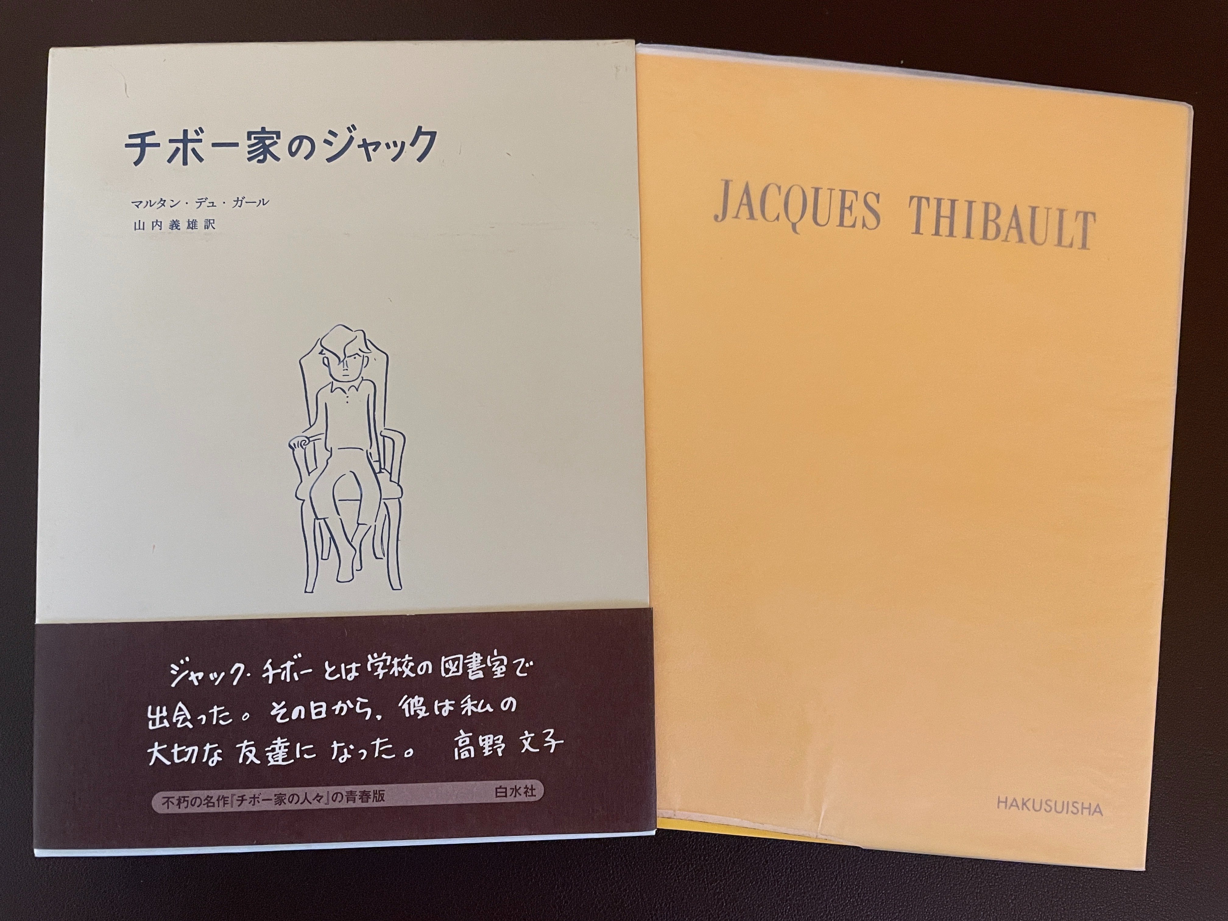 マルタン・デュ・ガール『チボー家の人々』 (1)｜Eugênio Sibaccio