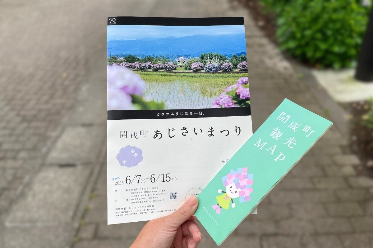 開成町へあじさいを見に行ったら、のどかな田園風景とあじさいの共演に