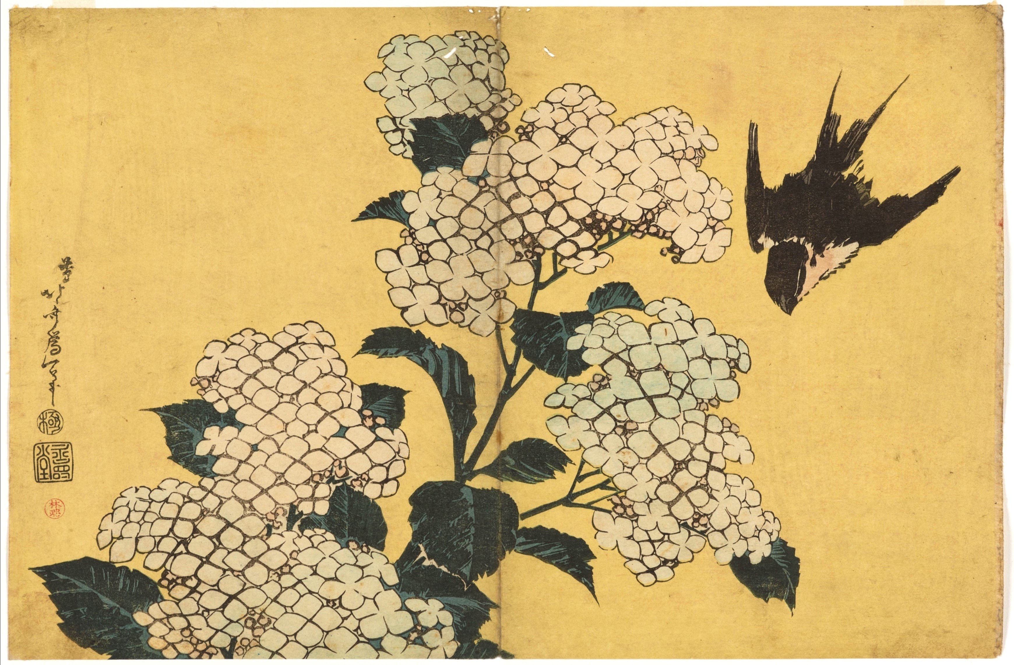 葛飾北斎　紫陽花に燕 葛飾北斎筆「紫陽花に燕」｜artoday - chiaki
