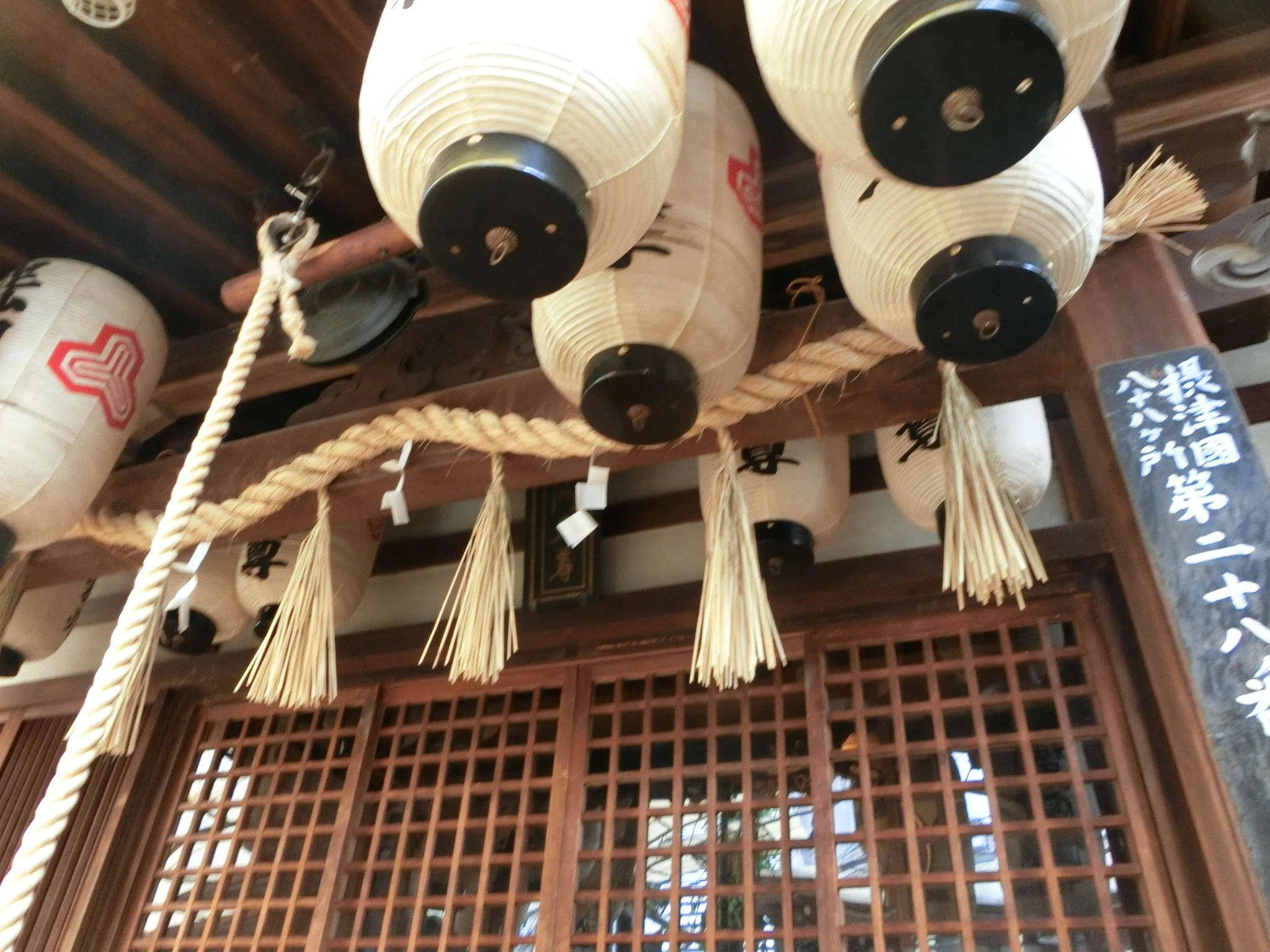 知る人ぞ知る「浪速寺(毘沙門天)」福寅で金運UP【南河内シリーズ/大阪