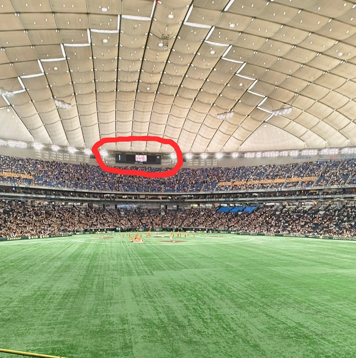 超希少*巨人戦 ヤクルト戦 バックスクリーンクラブシート 【公式通販】
