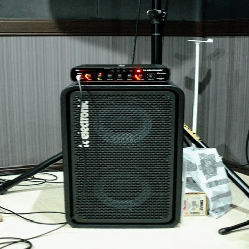 450Wのベースアンプを持っている｜odapeth