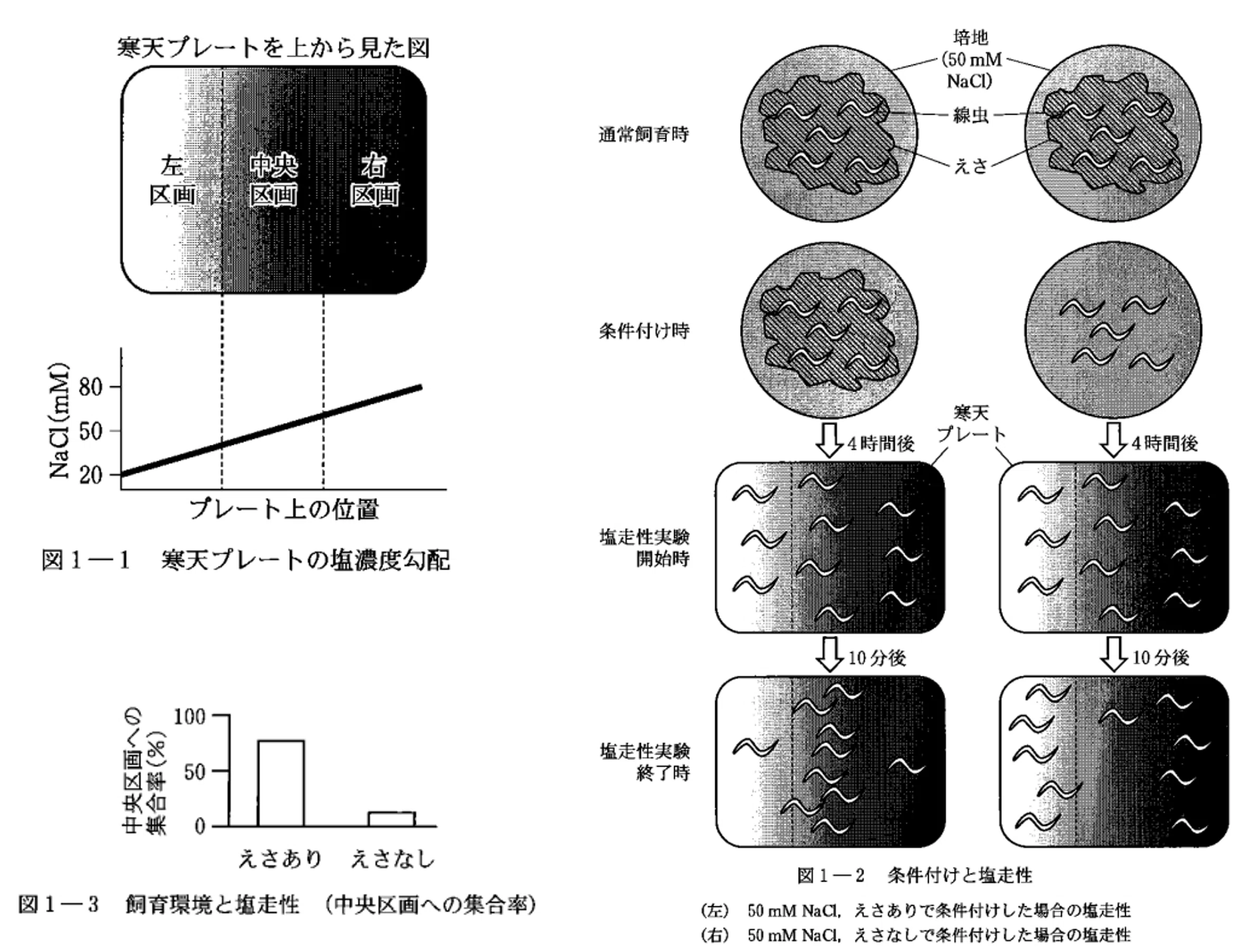 東大生物 演習 論文紹介【東大生物2025第1問: 分子の局在が連合学習の鍵となる】｜えぬ
