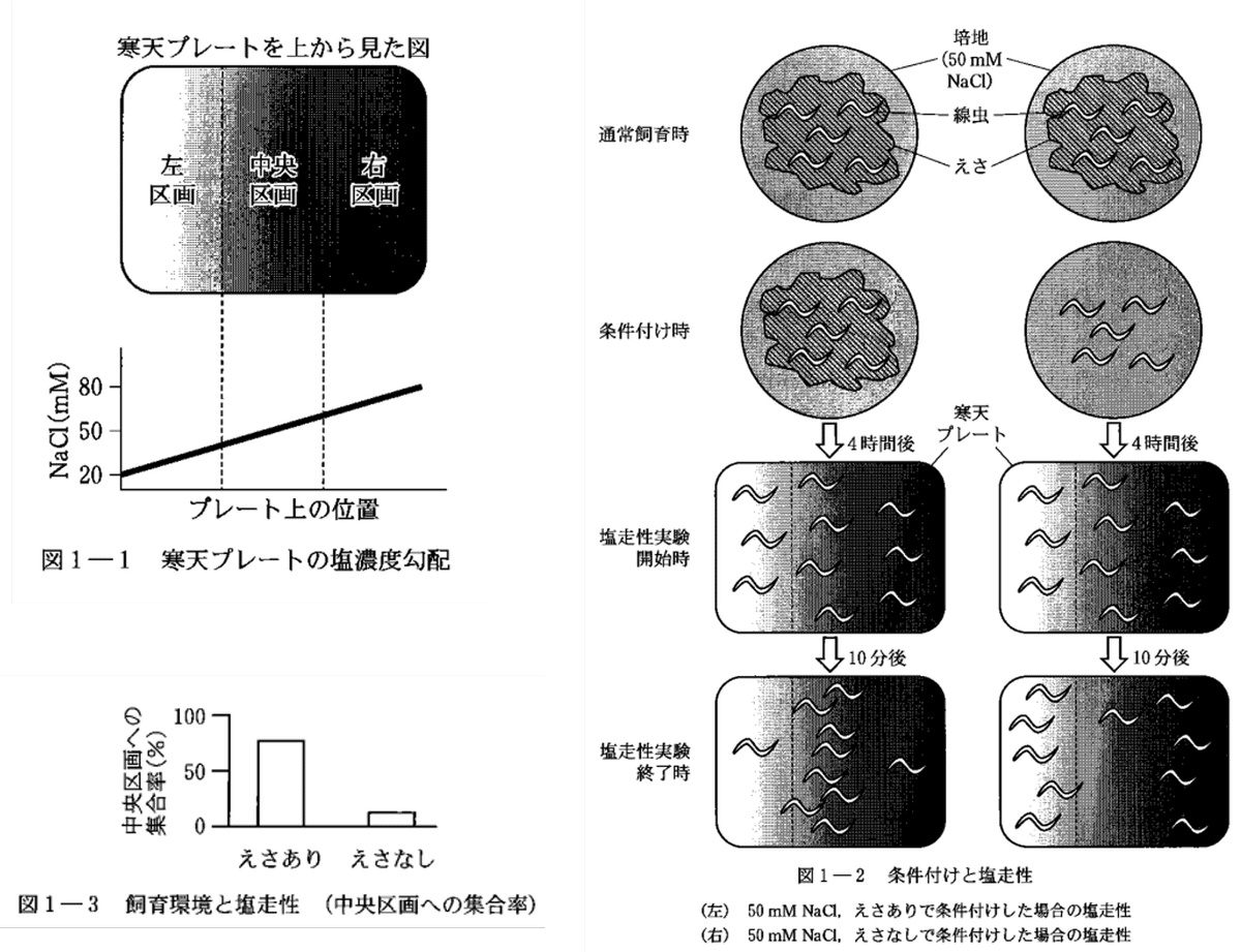 論文紹介【東大生物2025第1問: 分子の局在が連合学習の鍵となる