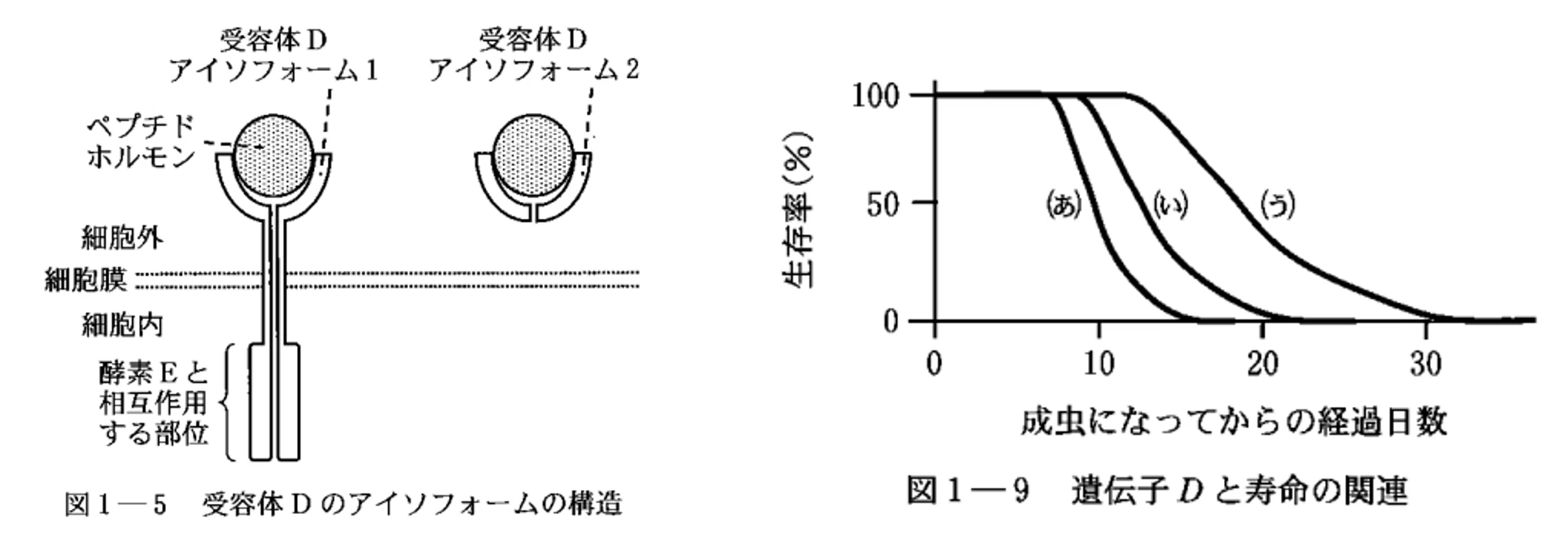 論文紹介【東大生物2025第1問: 分子の局在が連合学習の鍵となる】｜えぬ