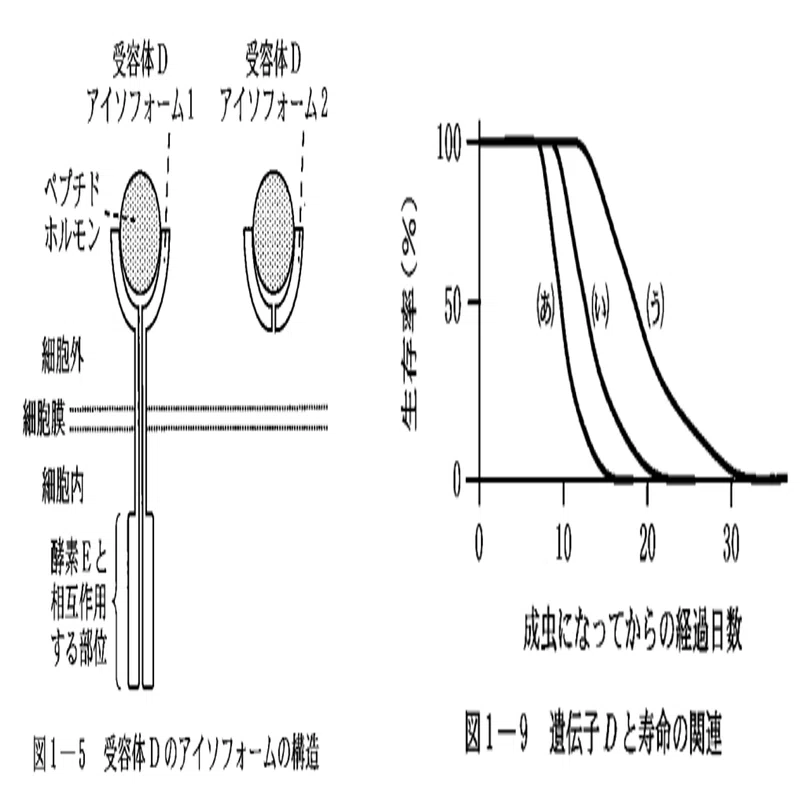 東大の生物 25カ年 東大の生物25カ年[第5版] (難関校過去問シリーズ) | 大森 茂 |本