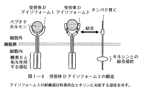 論文紹介【東大生物2025第1問: 分子の局在が連合学習の鍵となる】｜えぬ