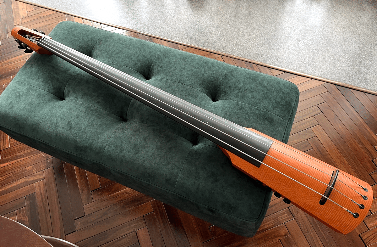 NS Design CR4M-DB アップライトベース NS DESIGN CR4M-AM Double Bass アップライトベース EMG搭載