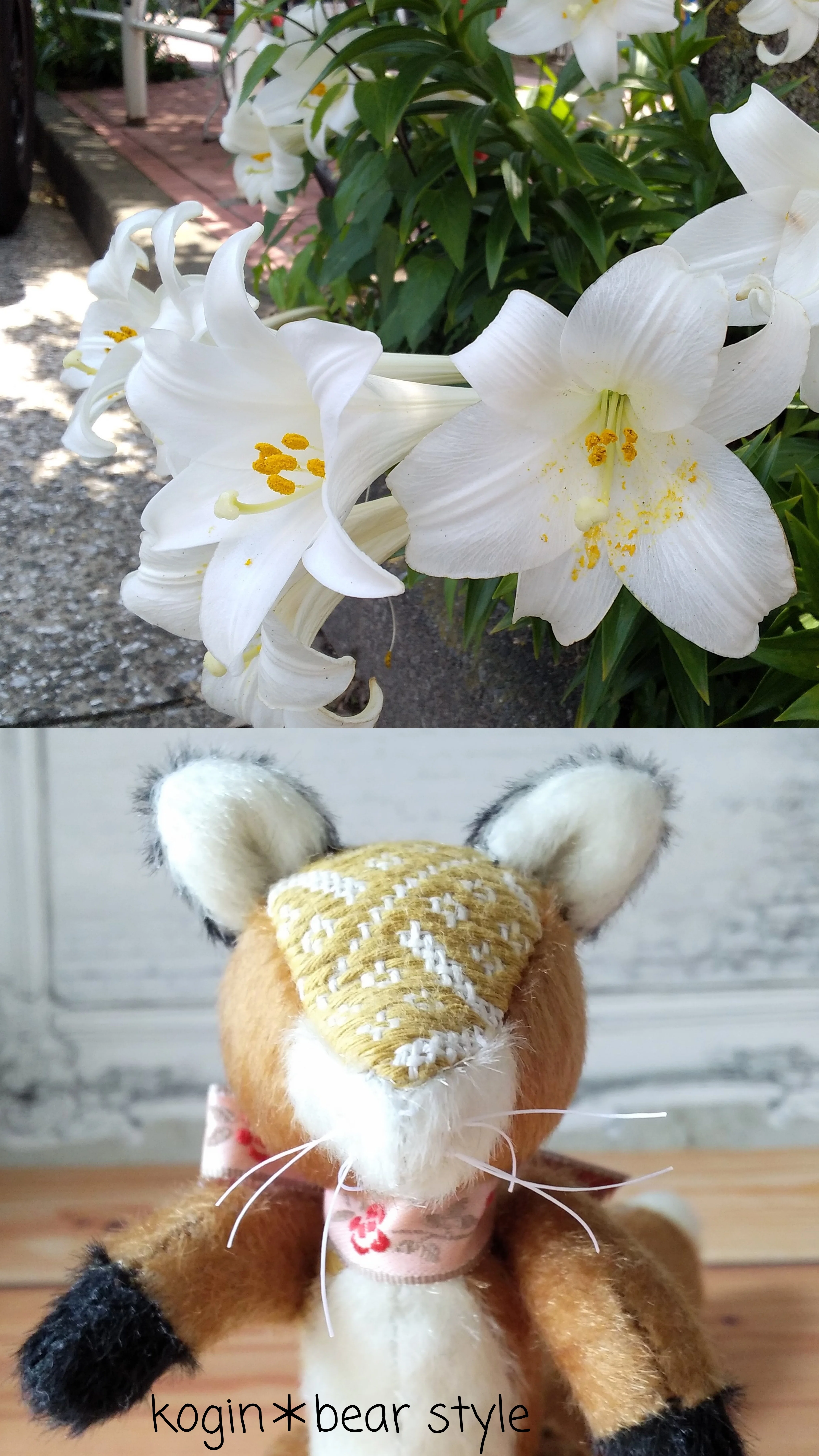 作家 きつね ぬいぐるみ テディベア 作家 きつね ぬいぐるみ テディベア ffox.jpg