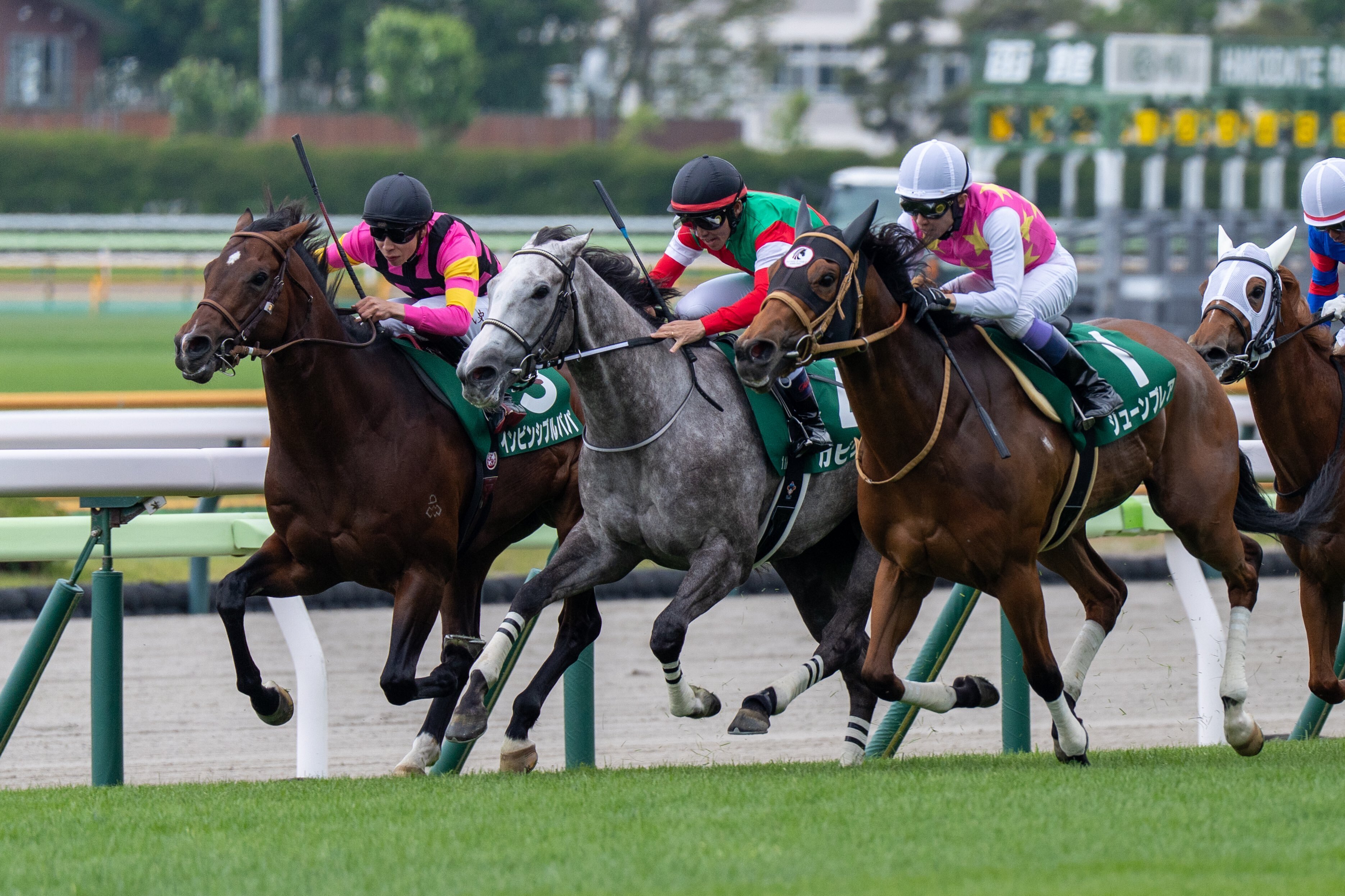 2025年 函館競馬場 函館スプリントS レプリカゼッケン レイべリング 函館スプリントS2025特集 | netkeiba 競馬予想・結果・速報