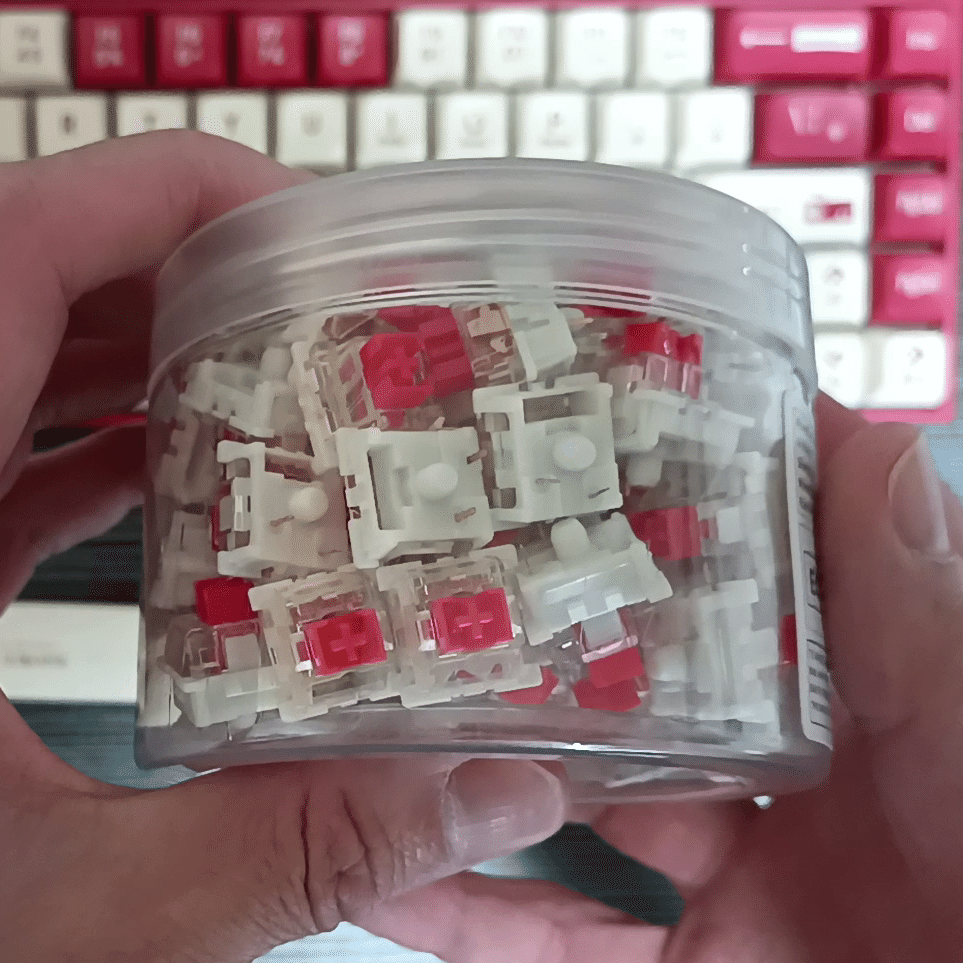 メカニカルキーボードのキースイッチを青軸🔵から赤軸🔴に交換してみた