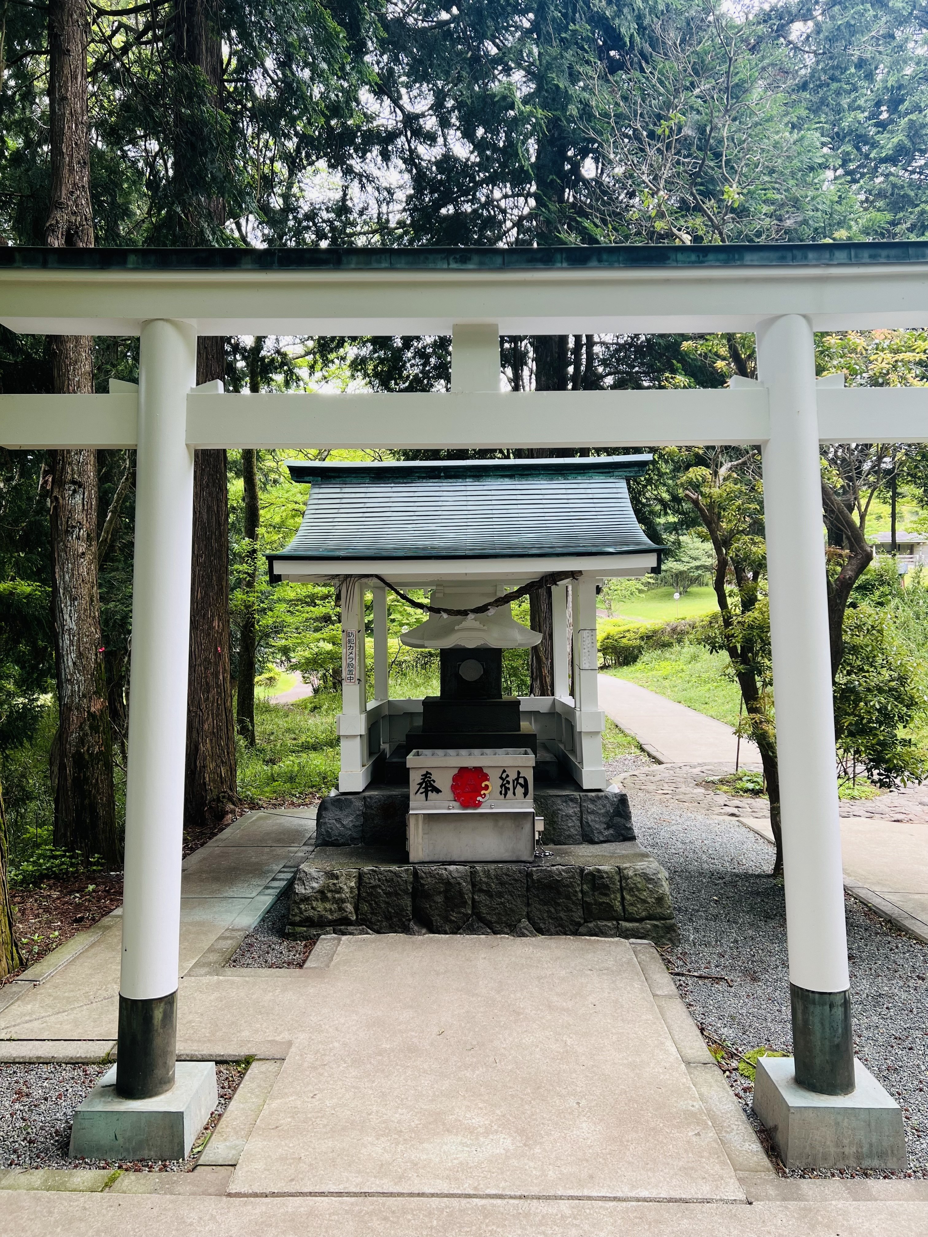 Kuzuryu Shrine Hongu: Pass Through the Forest and Visit the