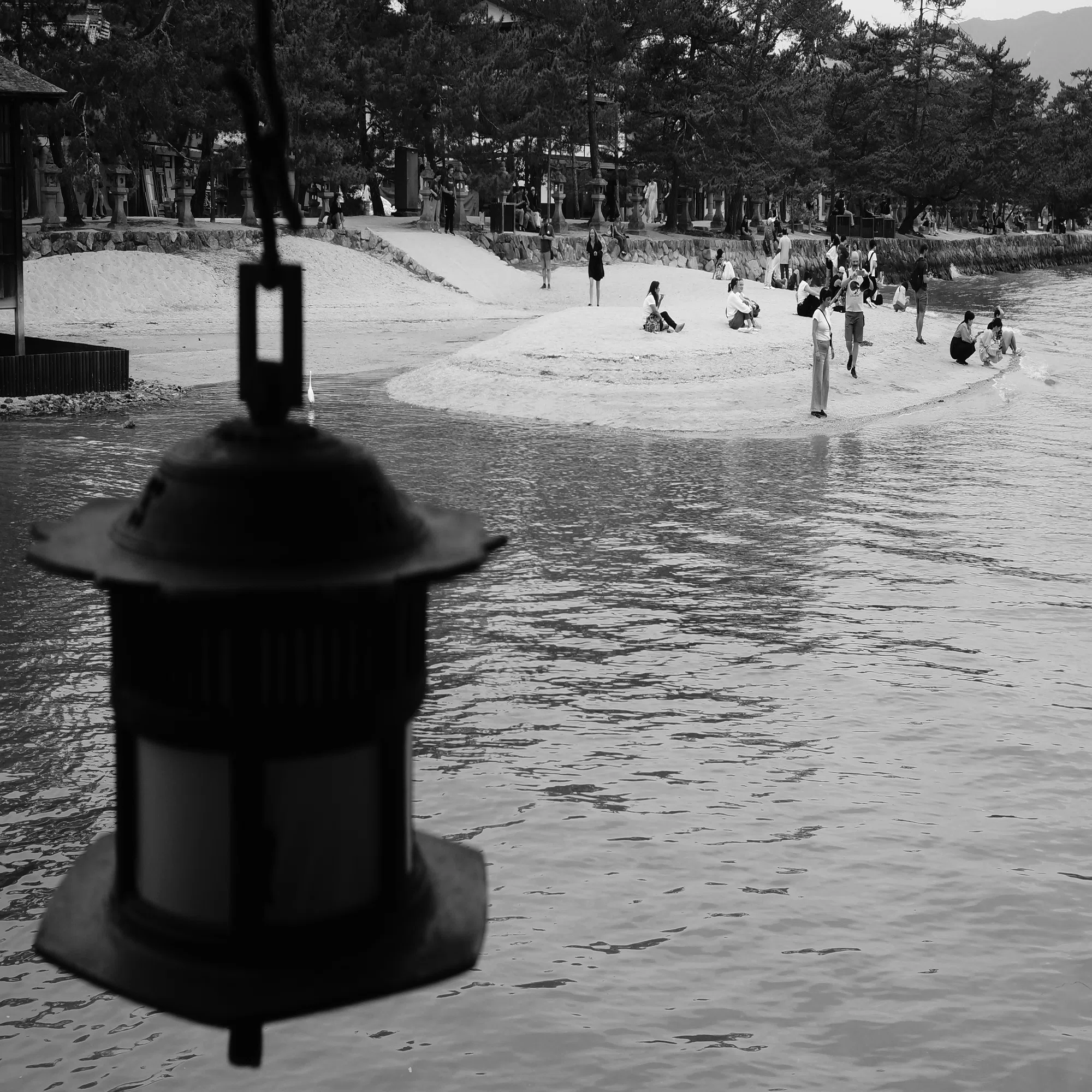新メンバー加入 SONY NEX-5N｜ponchan
