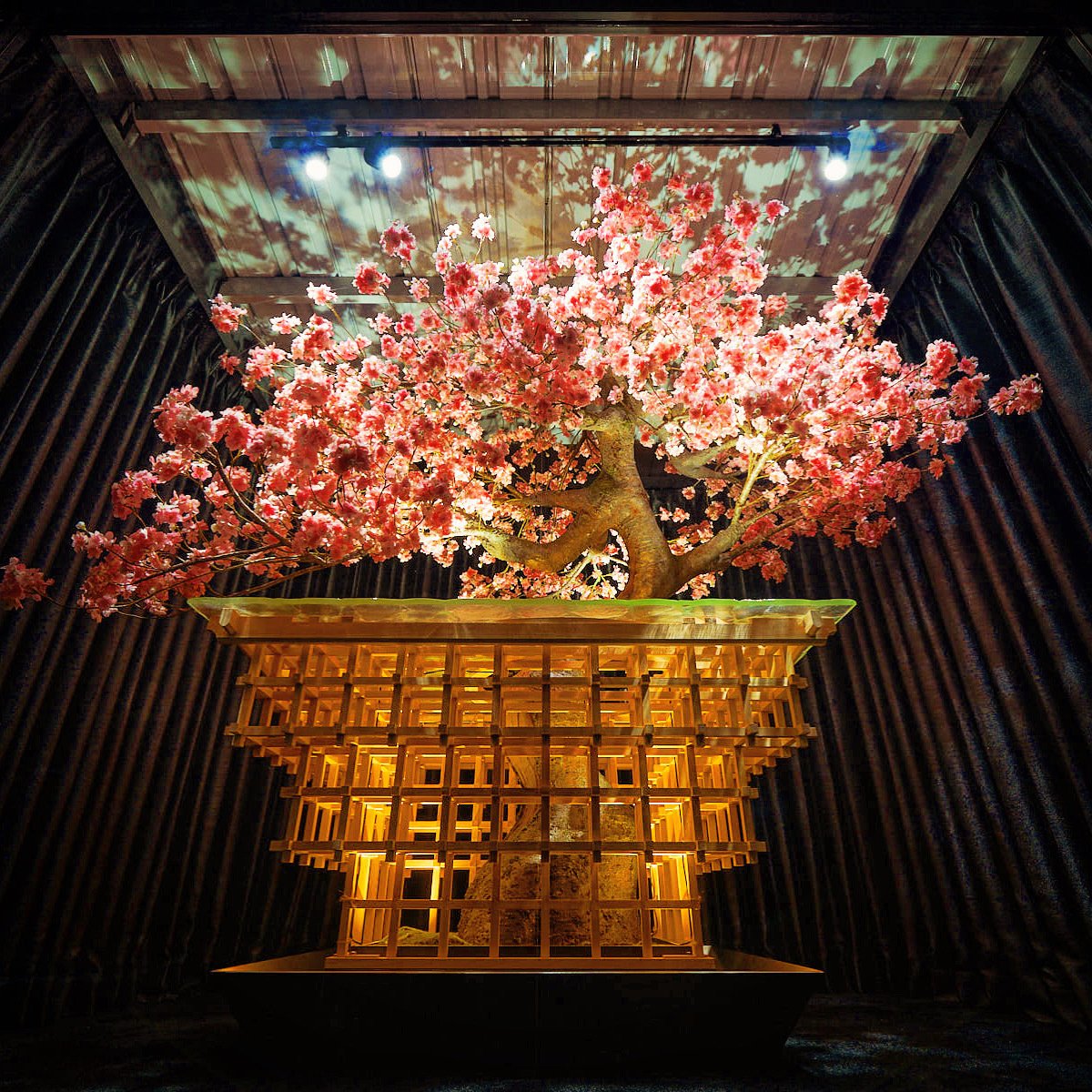 扶桑匠魂】東京タワー3階の「RED° TOKYO TOWER」にて、日本最高峰の桜