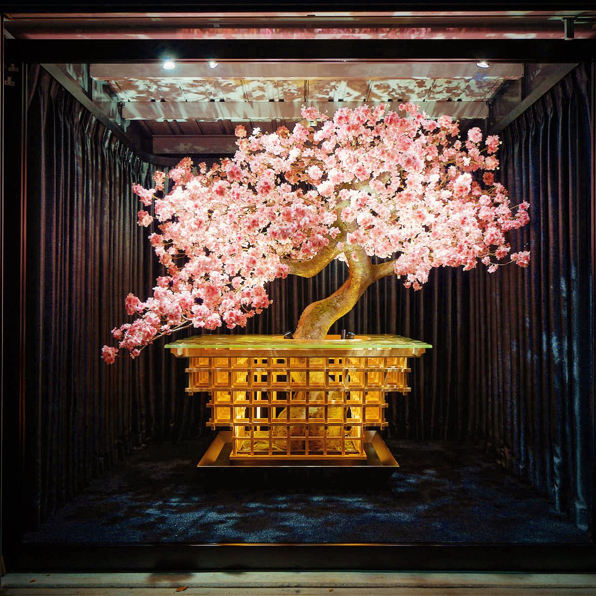 扶桑匠魂】東京タワー3階の「RED° TOKYO TOWER」にて、日本最高峰の桜