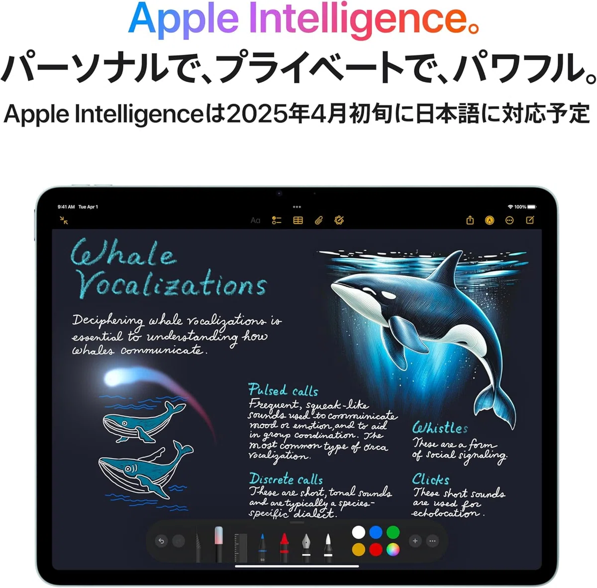 Apple 13インチ iPad Air M3 ブルー 128GB｜GetGadgetGot