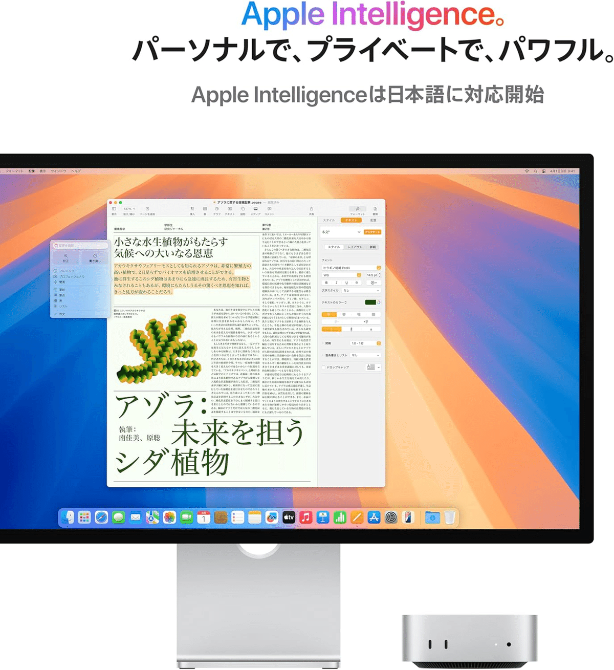『週末値下げ』『美品』Apple Mac mini 2024 M4 週末値下げ』『美品』Apple Mac mini 2024 M4 Apple、M4/M4 Pro