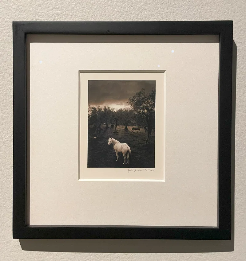 ペンティ・サマラッティ写真展『Me kaksi／The Two of Us』へ｜eriy