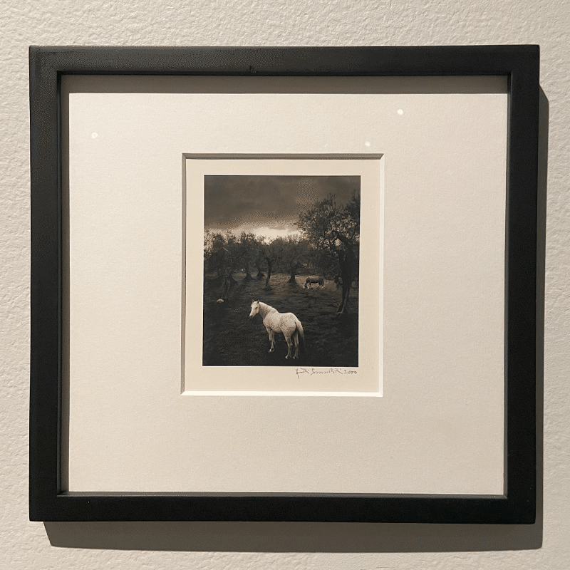 ME KAKSI PENTTI SAMMALLAHTI　ペンティ・サマラッティ ME KAKSI PENTTI SAMMALLAHTI ペンティ・サマラッティ ME KAKSI PENTTI