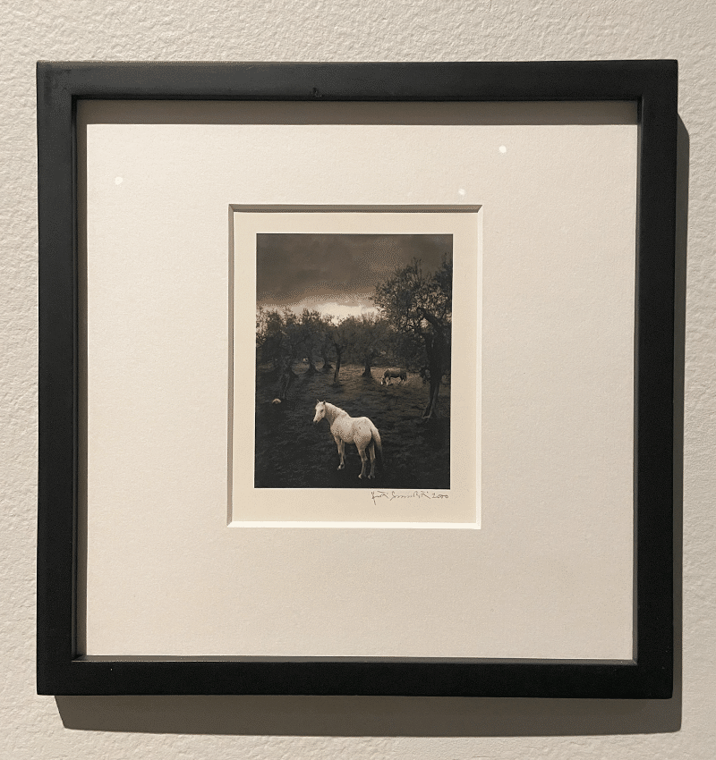 ペンティ・サマラッティ写真展『Me kaksi／The Two of Us』へ｜eriy