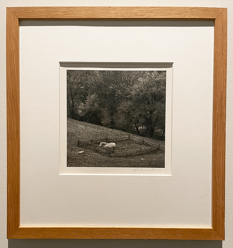 ME KAKSI PENTTI SAMMALLAHTI　ペンティ・サマラッティ Pentti Sammallahti: Me Kaksi