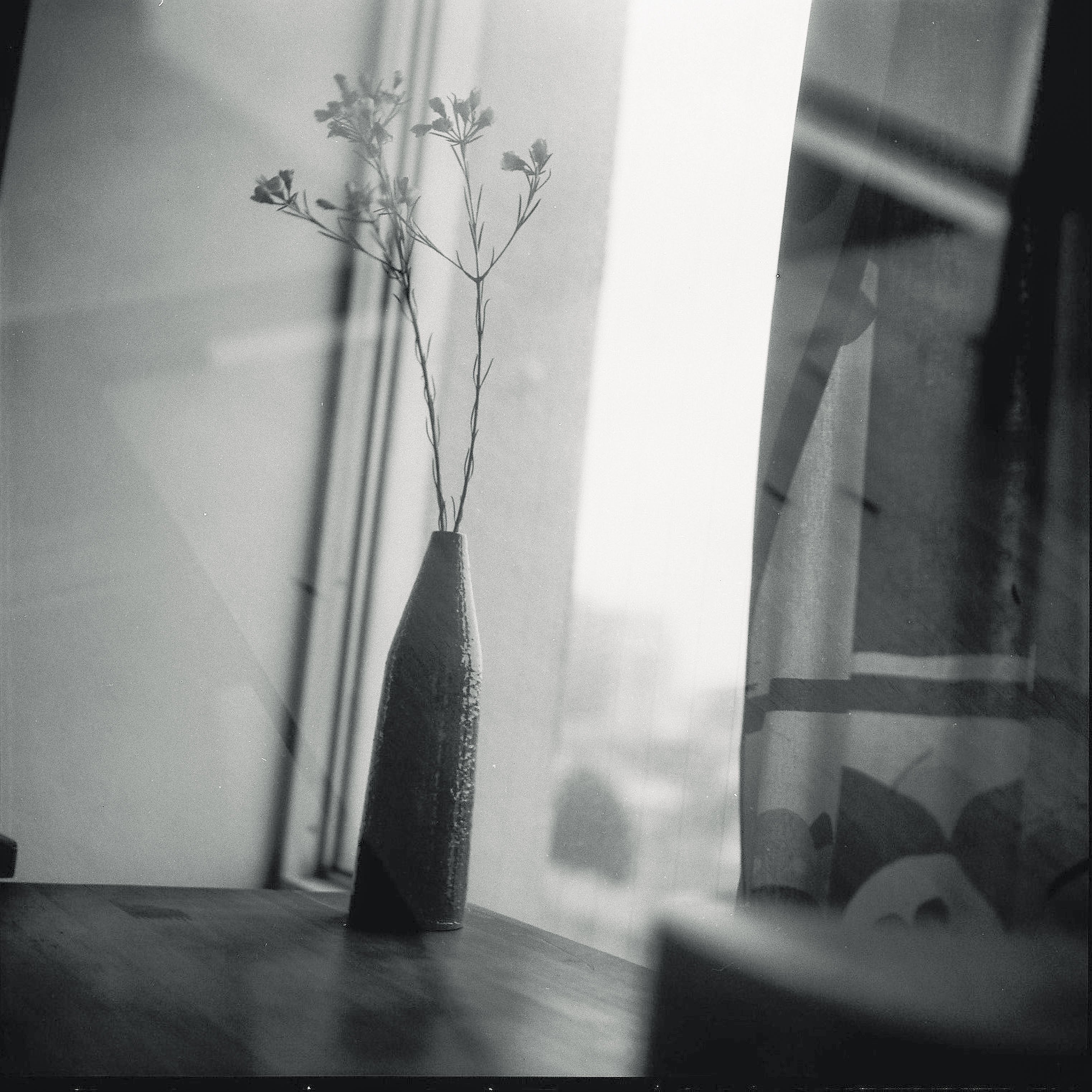 Still life by the window : Archives 2013, édition 2025