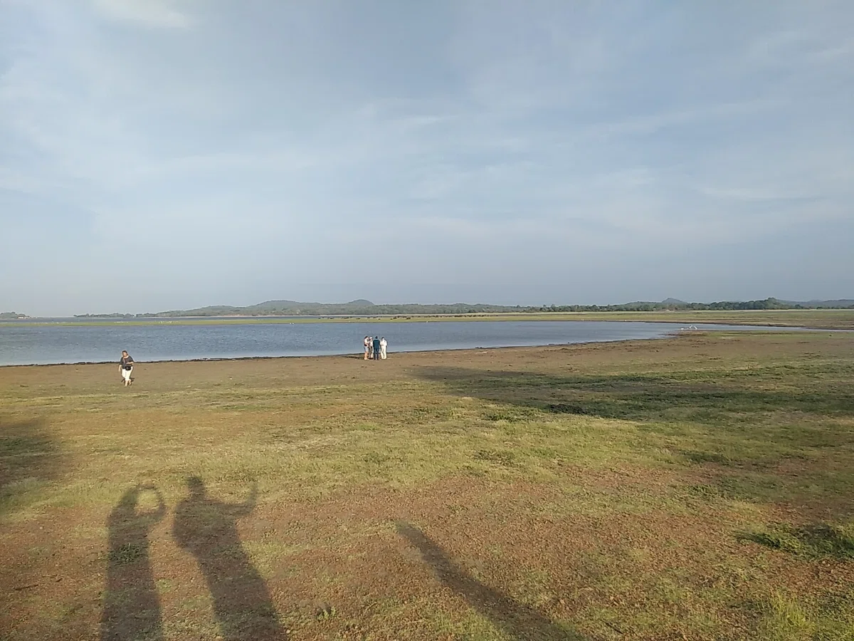Vpx Pro Exploring Sri Lanka: The Charm of Paradise Through Train Journeys and ...