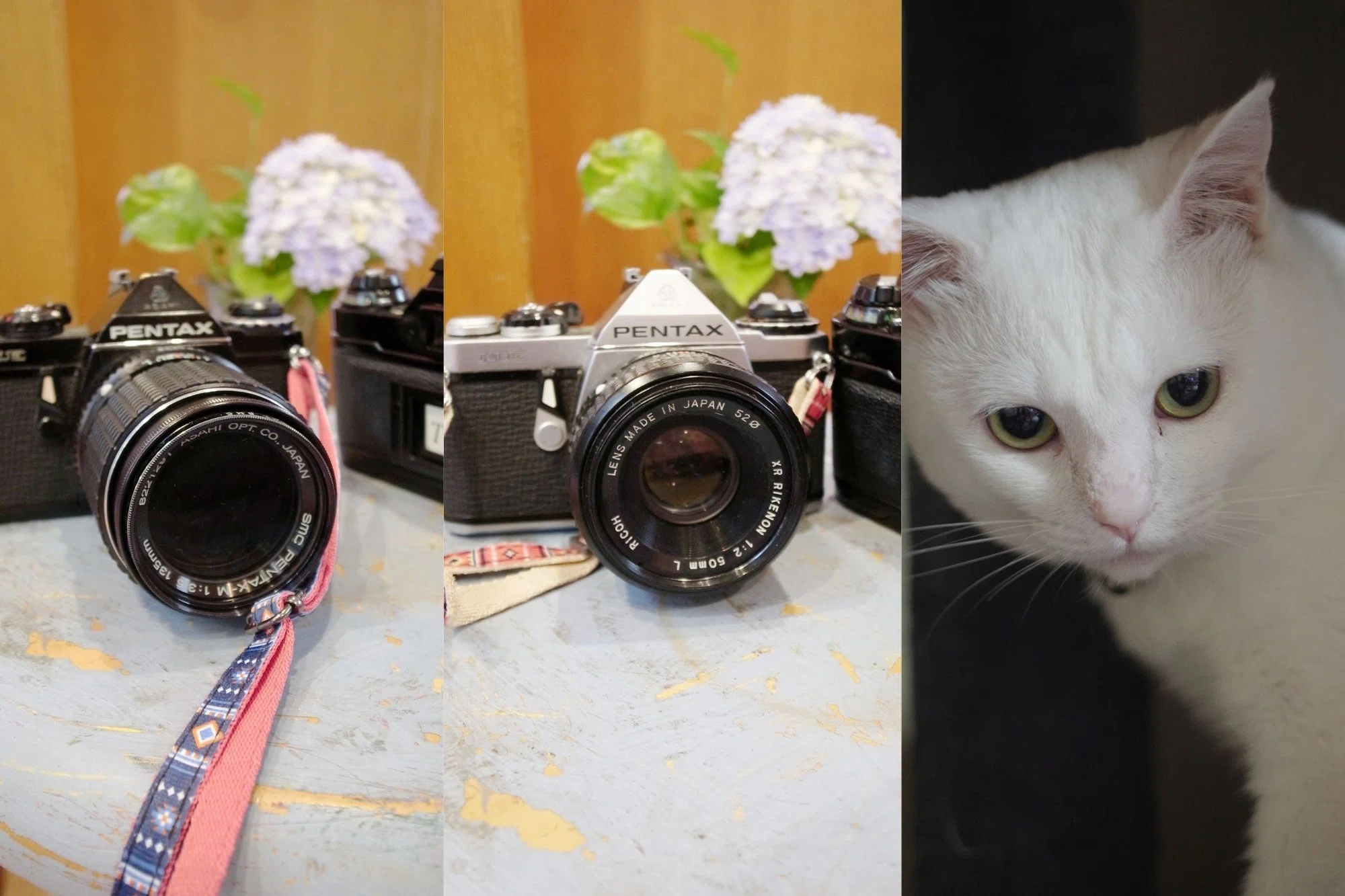 完動品 PENTAX ME SLR フィルムカメラ Ricoh 50mm f2 Pentax ME Chrome 35mm Film Camera w/ 50mm f2 Lens [EXC]