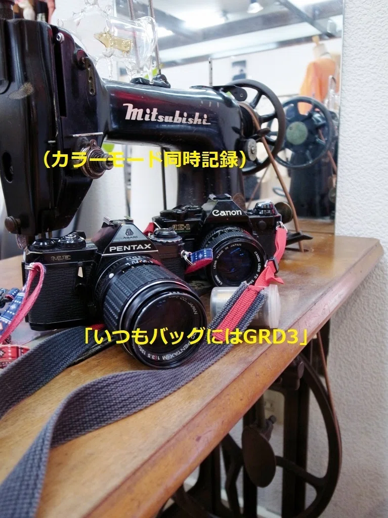 フィルムカメラ生えてきた。和製ズミクロンRIKENON前期型と📷カメラの