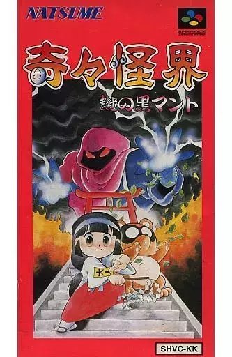 ゲームのパッケージから見る日本と海外の違い ～スーパーファミコン編