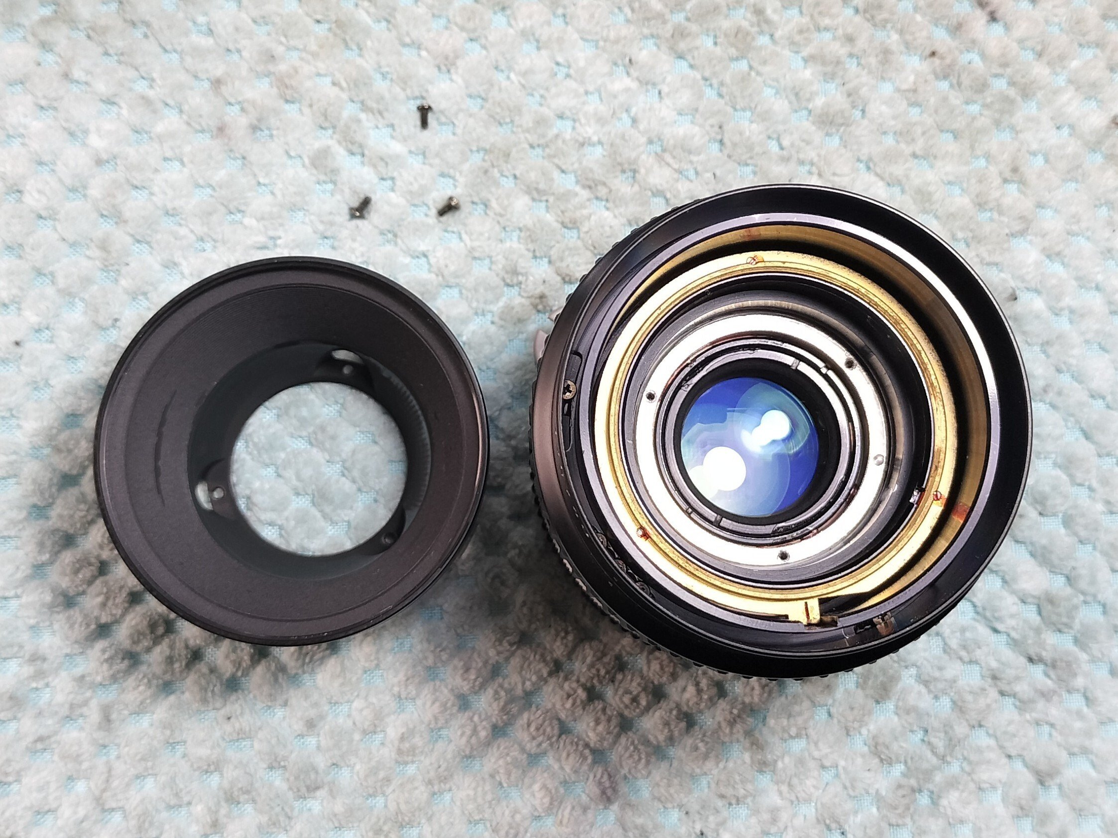Nikon ニコンAi-s Micro-NIKKOR 55mm 2.8 接写も可 AI Micro-Nikkor 55mm f/2.8S - 概要 | NIKKORレンズ | ニコン