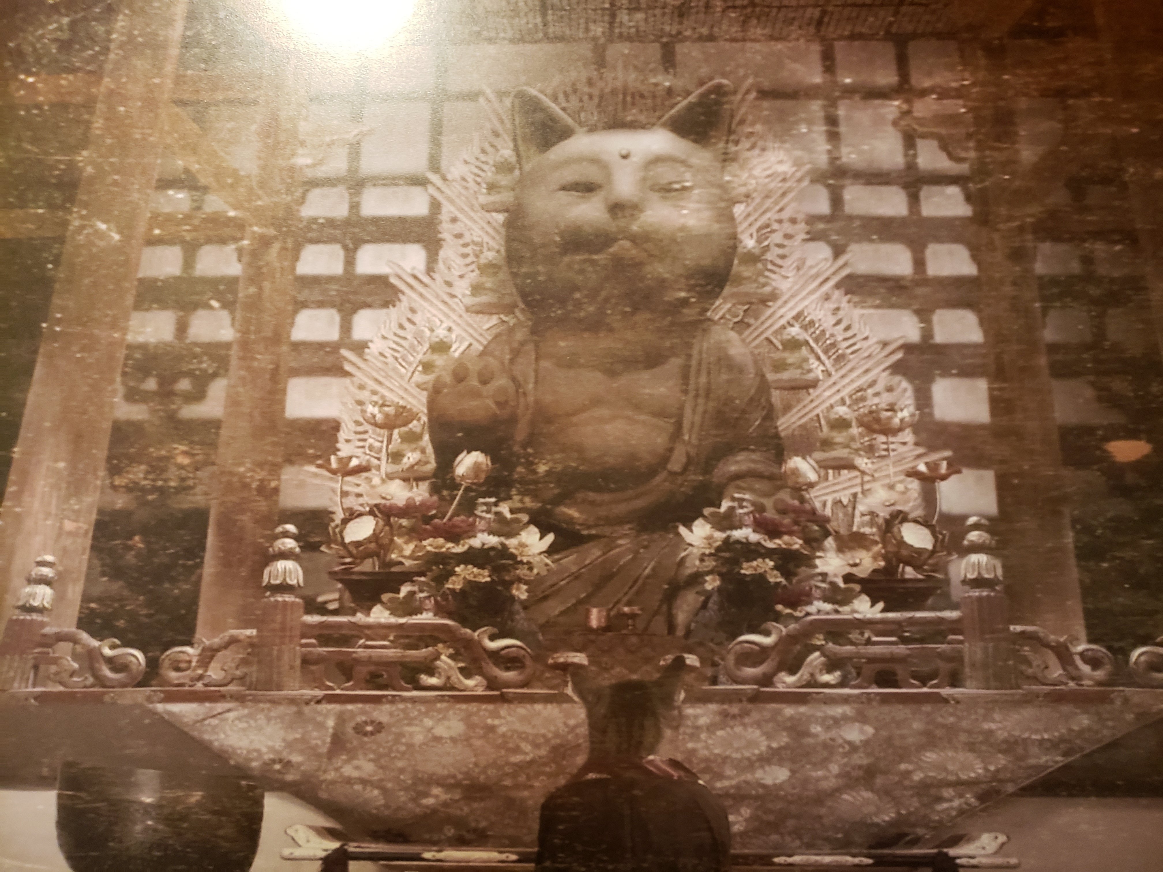 京都へ行こう❣️【318】｜ひばりん