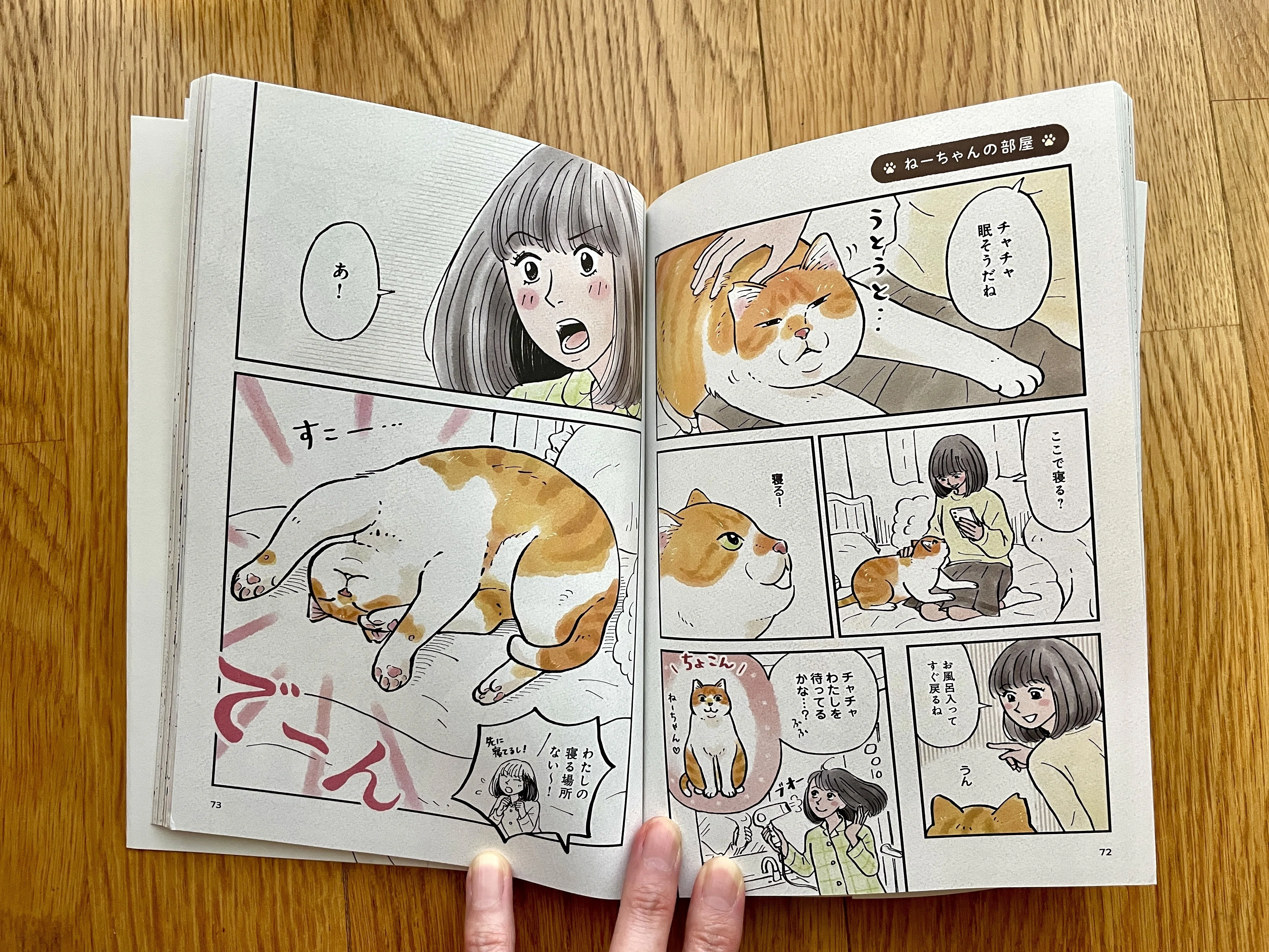 あきらめ悪くてよかった。人生初のコミック本。｜猫野ソラ