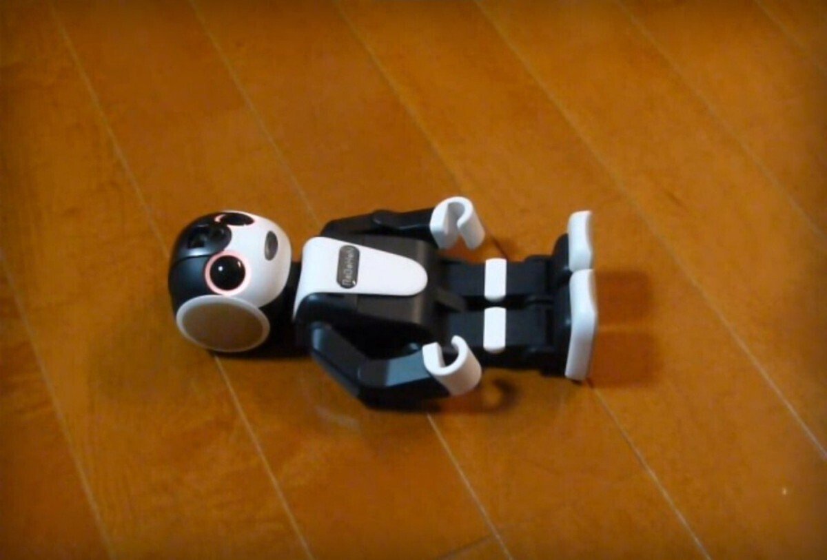 mr.someccoページです　ロボホン 1551日間、母の見守り役を務めたロボットの話 ｜SHARP
