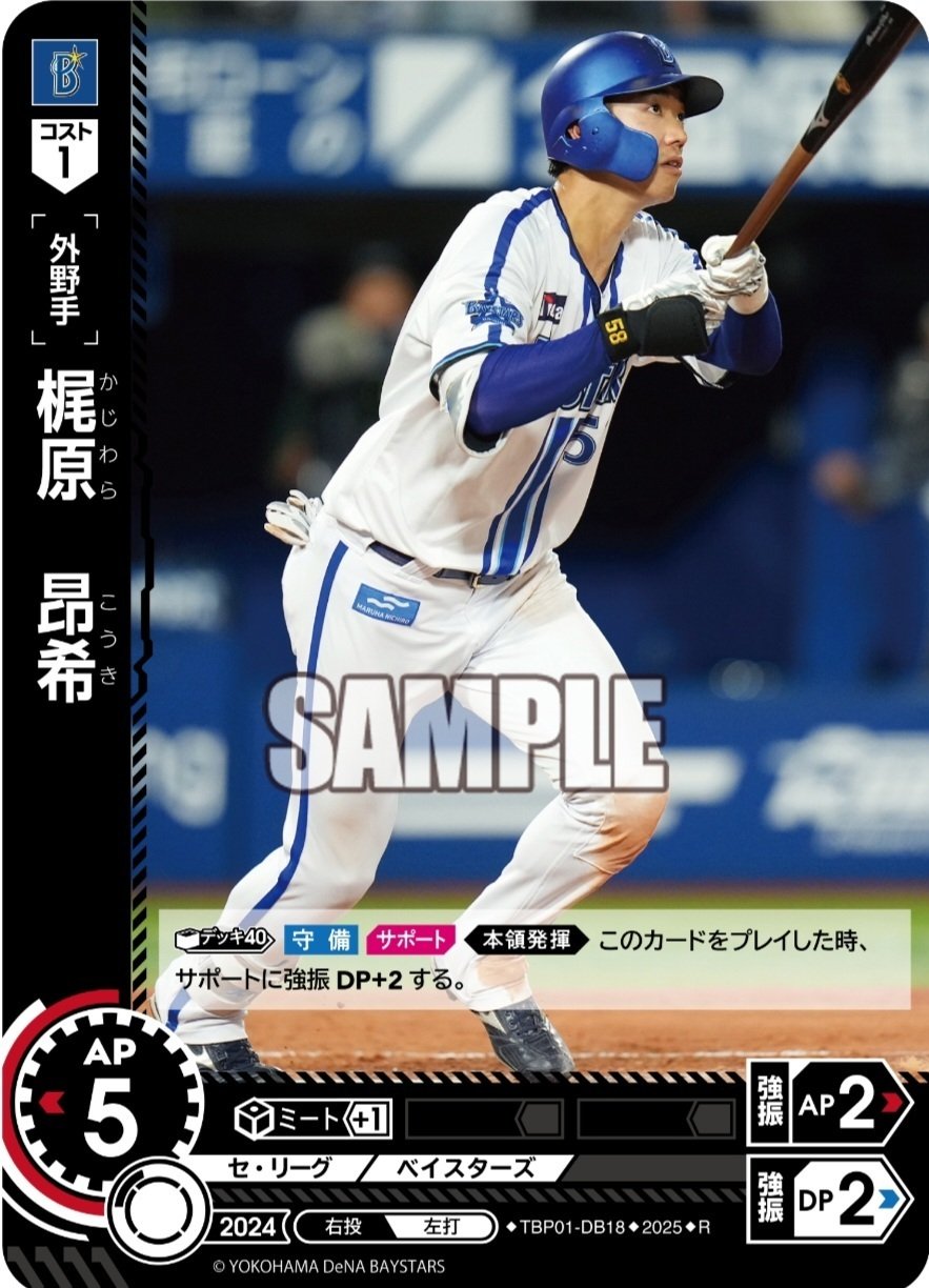 横浜ベイスターズ研究会 野村さん！｜Salty Chan