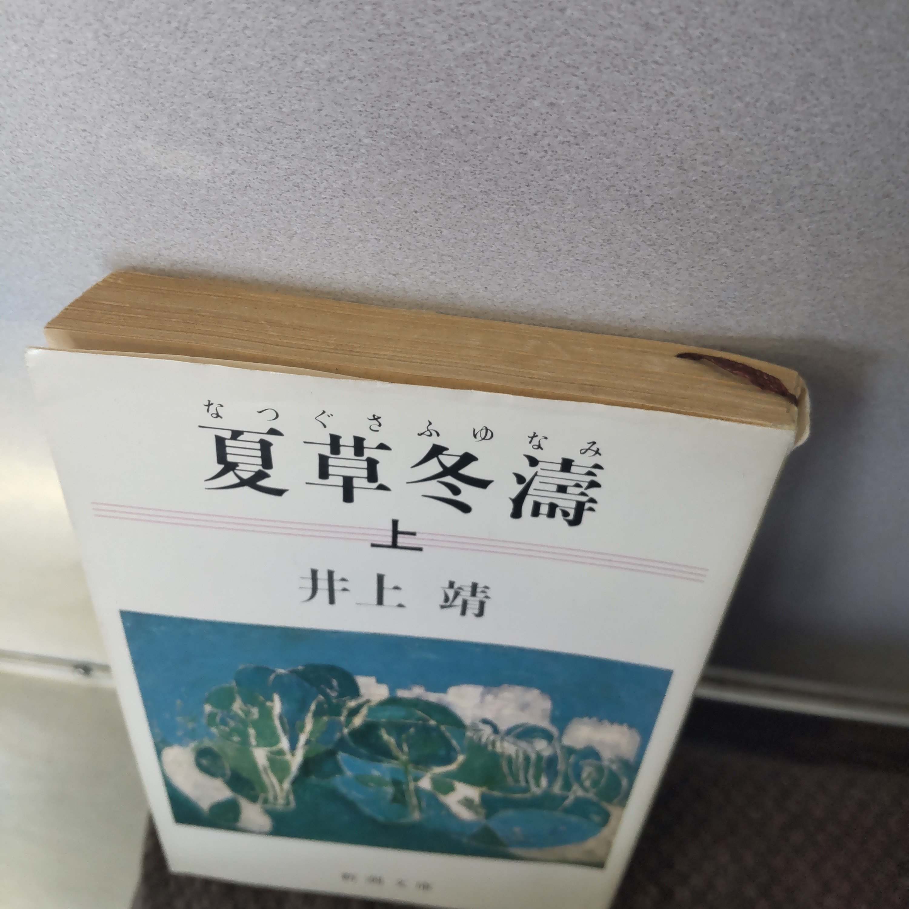 夏草冬濤 ㊤」 井上靖著 (再読)｜篝火夜話