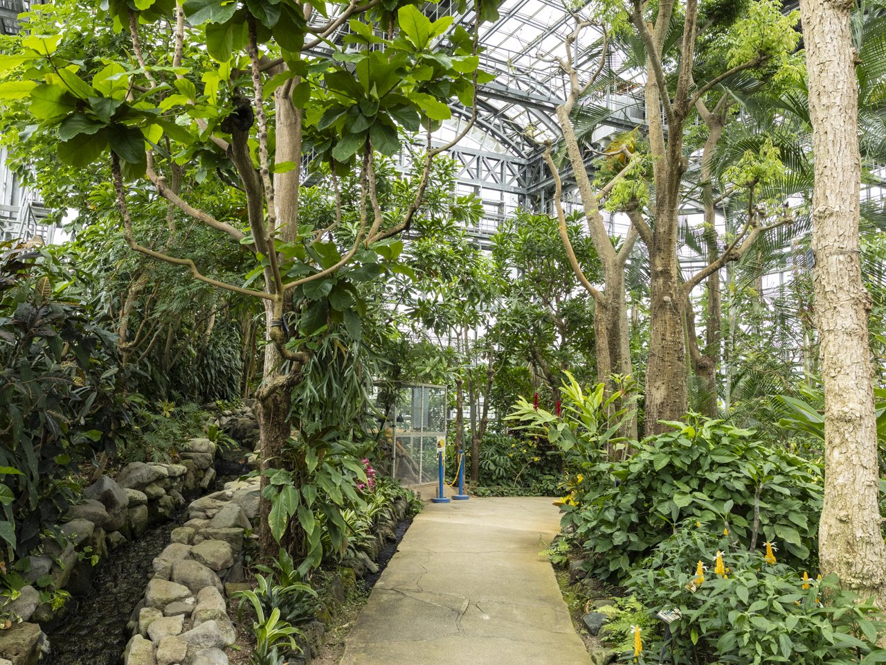 カピバラ カピバラ 42 | HANSA