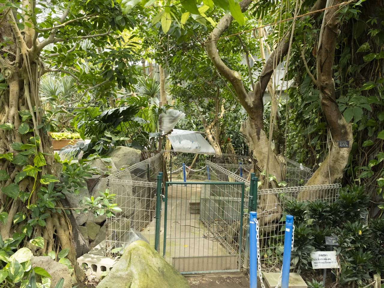 I went to meet the capybaras at Hibikinada Green Park, but