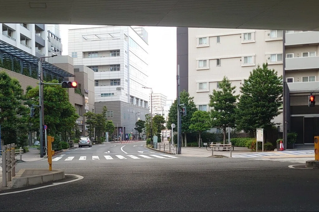 霊波之光 御守護神様 波瀬善雄先生 写真 L判サイズ 50枚 霊波之光 御