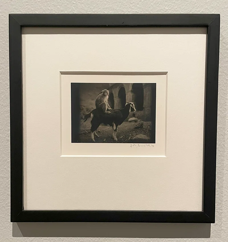 Visiting the Pentti Sammallahti Photo Exhibition 