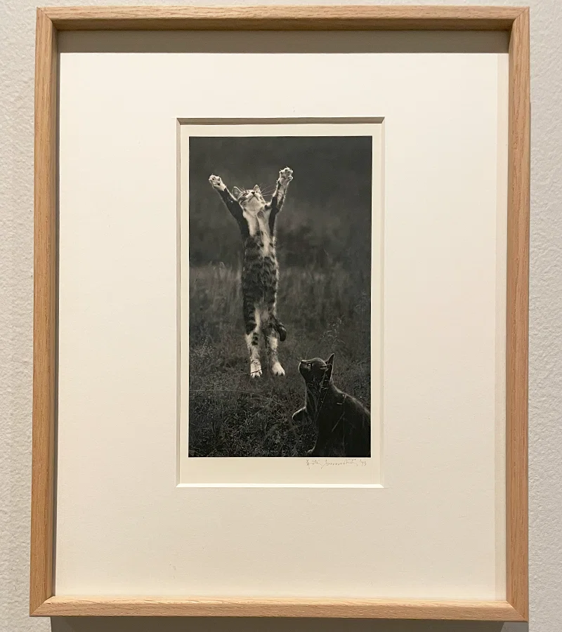 ペンティ・サマラッティ写真展『Me kaksi／The Two of Us』へ｜eriy