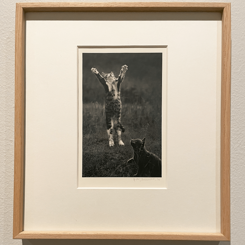 ペンティ・サマラッティ写真展『Me kaksi／The Two of Us』へ｜eriy